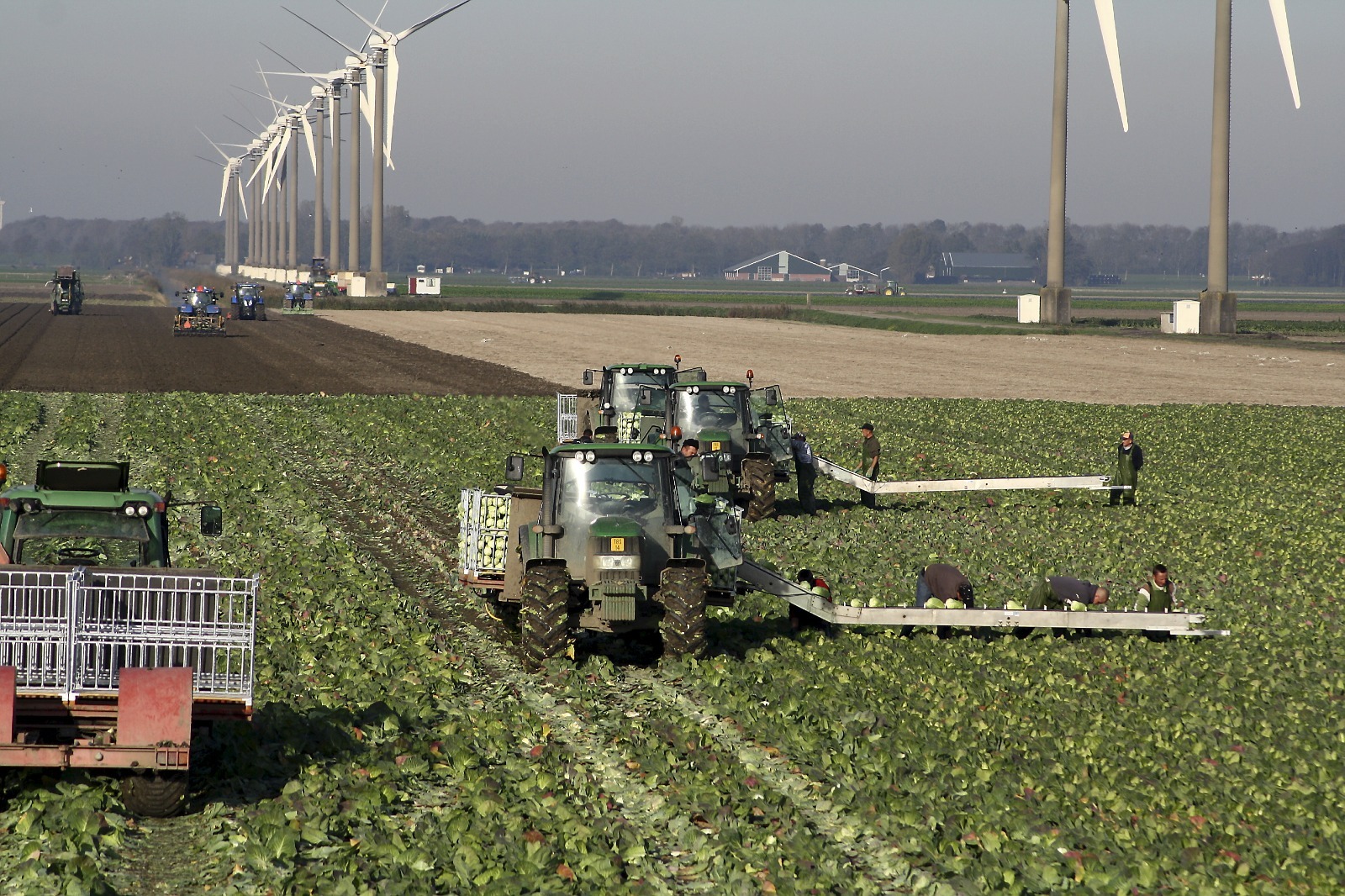 20240530_062322000_iOS