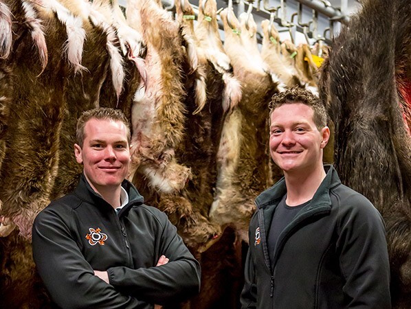 5ccffd459abd2370601359