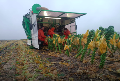 Scherm­afbeelding 2025-10-15 om 13.08.04