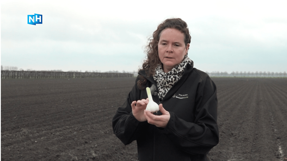 Scherm­afbeelding 2025-11-26 om 13.31.52