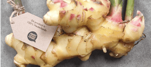 Scherm­afbeelding 2026-02-13 om 13.17.19