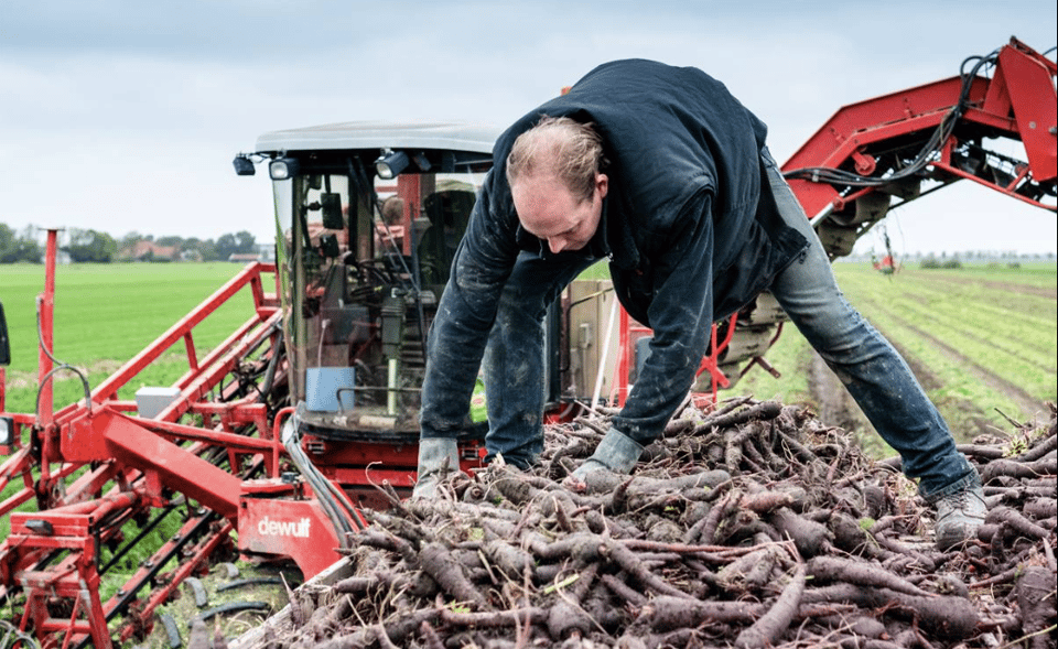 Schermafbeelding 2025-11-24 om 13.35.18