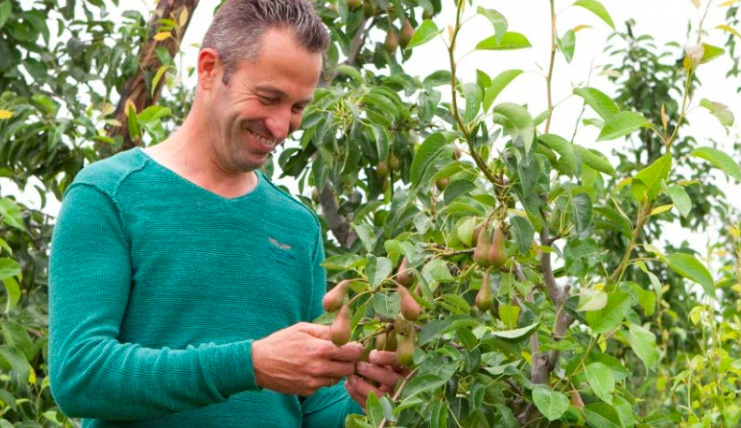 Schermafbeelding 2025-11-24 om 13.57.46