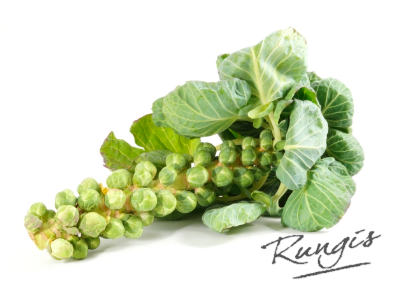 Schermafbeelding 2025-11-24 om 14.39.51