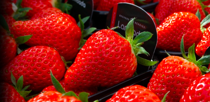 Schermafbeelding 2025-11-24 om 15.53.10