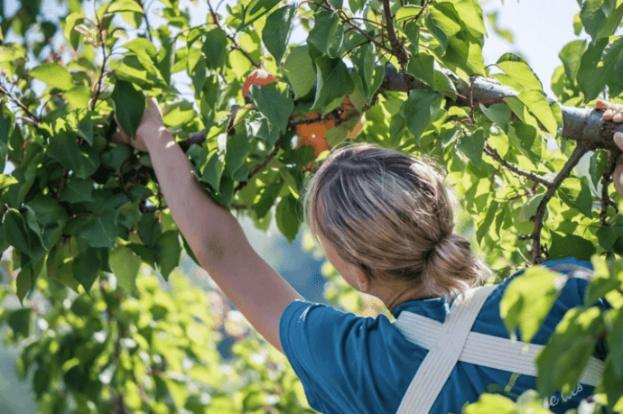 Schermafbeelding 2025-11-24 om 16.02.53