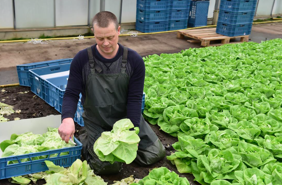 Schermafbeelding 2025-11-25 om 09.16.43