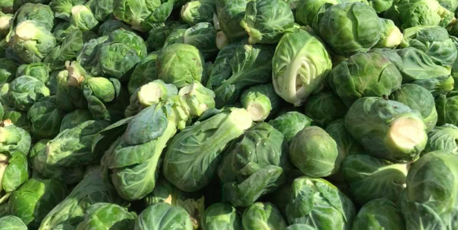 Schermafbeelding 2025-11-25 om 09.59.01