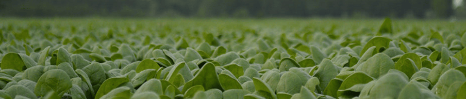 Schermafbeelding 2025-11-25 om 10.05.38