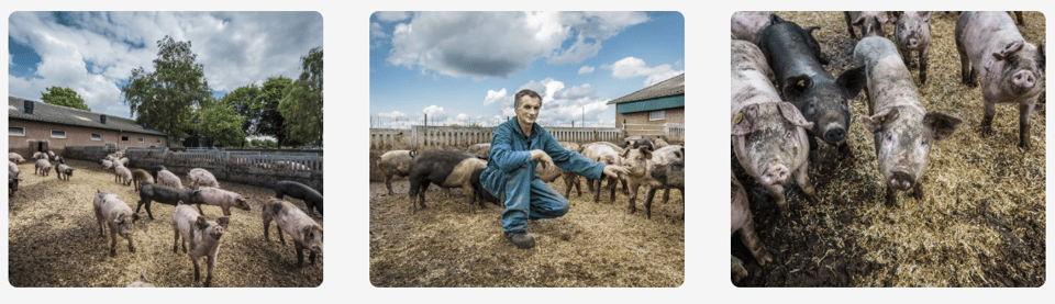 Schermafbeelding 2025-12-04 om 11.29.32