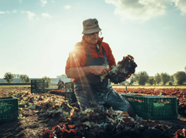 Foto: Belorta website