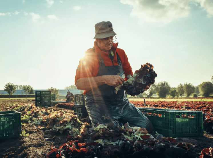 Schermafbeelding 2025-12-09 om 15.55.17