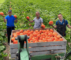 Foto: website de Waog