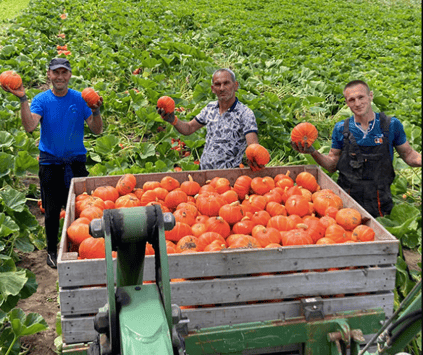 Schermafbeelding 2025-12-16 om 12.19.38