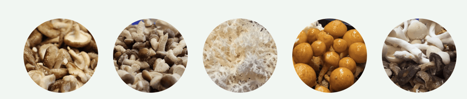 Schermafbeelding 2025-12-16 om 12.26.54