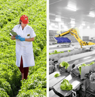 Foto: El Dulze website