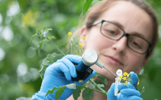 Foto: Eminent website