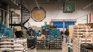 Foto: Website De Mooij