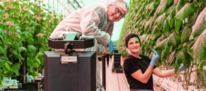 Foto: Fresh Valley website