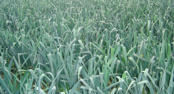 Schermafbeelding 2025-12-16 om 14.08.56