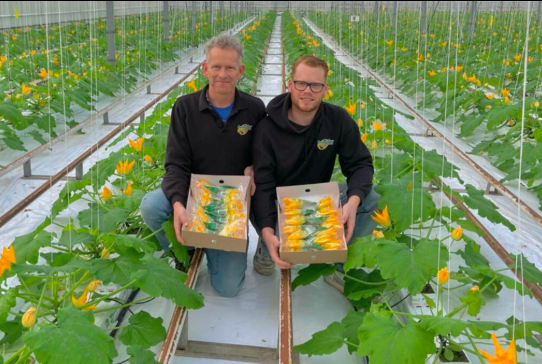 Schermafbeelding 2025-12-16 om 15.20.28