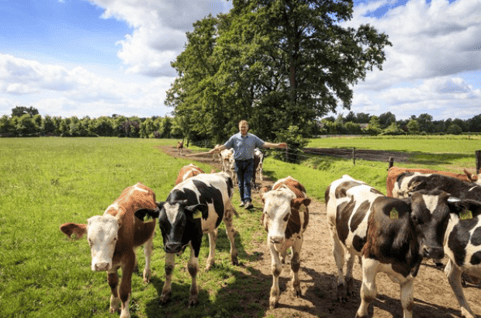 Schermafbeelding 2025-12-19 om 15.16.44