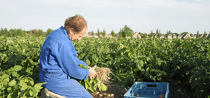 Foto: Website Opperdoezer ronde online