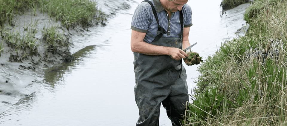 Schermafbeelding 2026-01-09 om 12.00.30