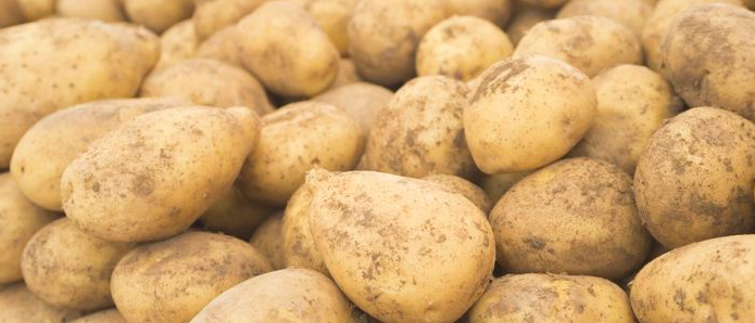 Schermafbeelding 2026-01-09 om 14.59.25