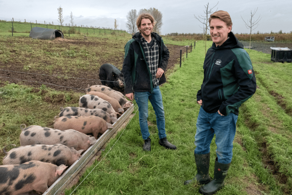 Schermafbeelding 2026-01-12 om 13.49.23