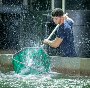 Schermafbeelding 2026-01-12 om 14.02.43