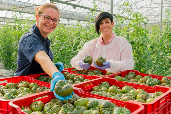 Schermafbeelding 2026-01-13 om 11.33.03