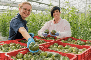 Foto: granadalapalma.com