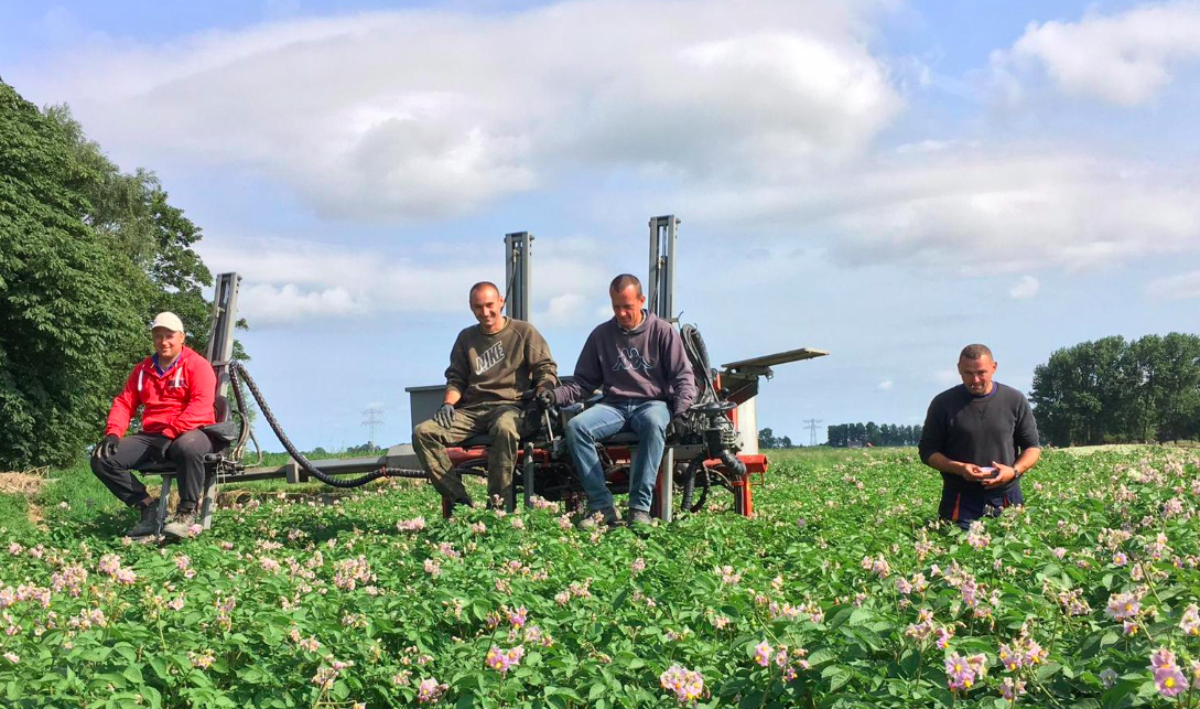 Schermafbeelding 2026-02-06 om 11.17.18