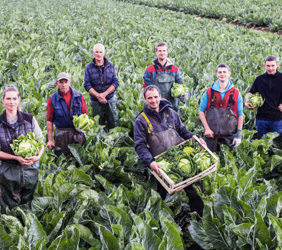 Schermafbeelding 2026-02-06 om 11.26.05