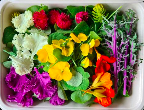 Schermafbeelding 2026-02-06 om 11.57.21