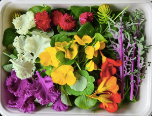 Foto: puur-aroma.com 