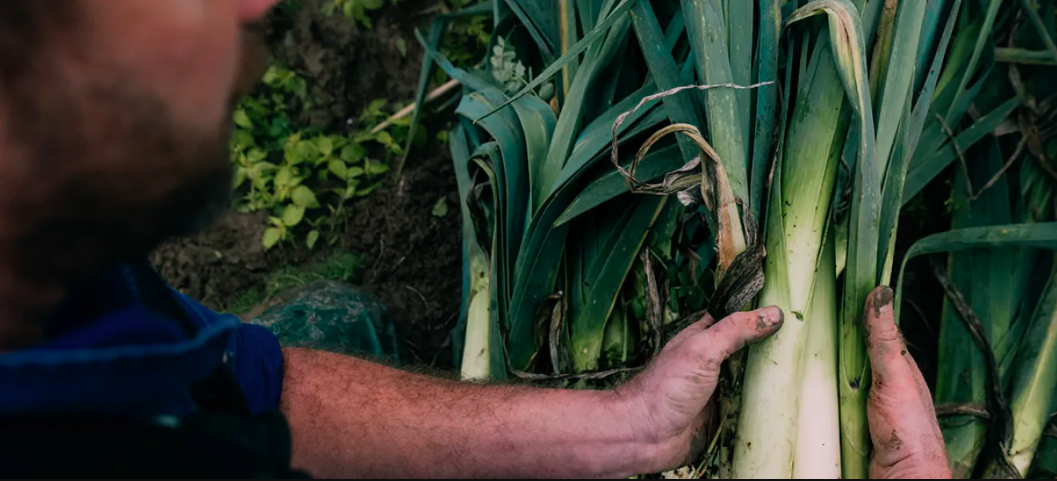 Schermafbeelding 2026-02-06 om 13.36.58