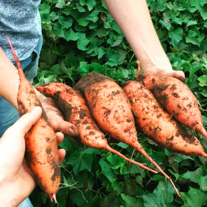 Schermafbeelding 2026-02-20 om 11.25.25