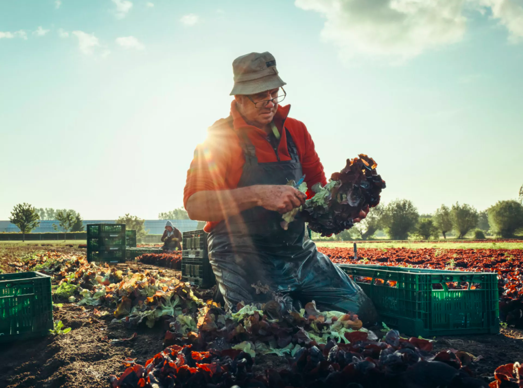 Foto: Belorta website