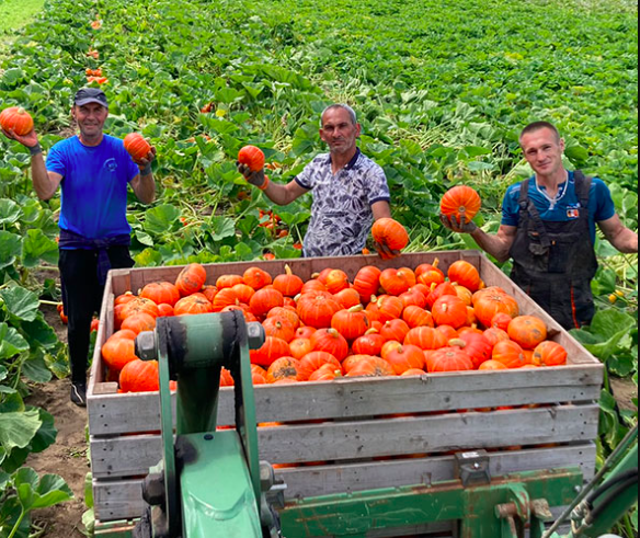 Foto: website de Waog