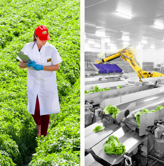 Foto: El Dulze website