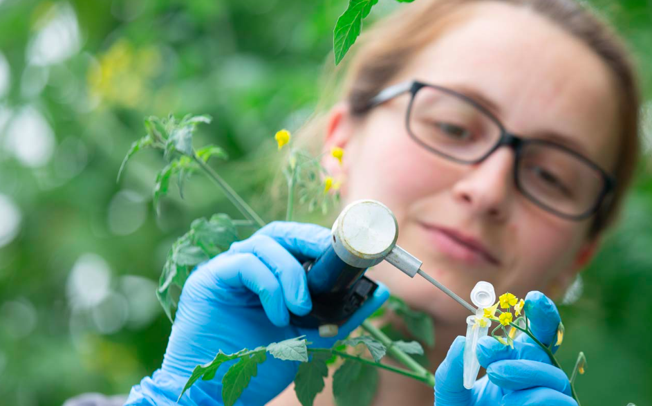 Foto: Eminent website