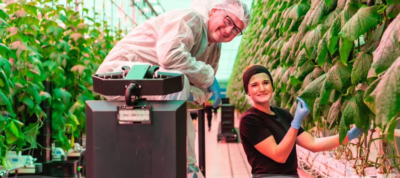 Foto: Fresh Valley website