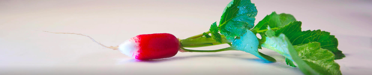 Foto: website Jongfresh